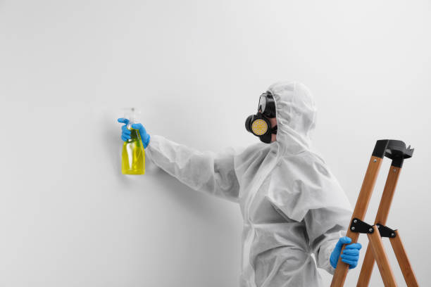 Trusted Big Sandy, TX Mold Removal Experts